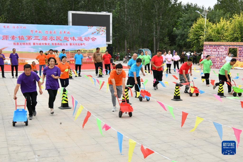 八达国际网址是多少
